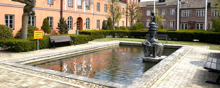 Koifiskarna i dammen utanför Höganäs huvudkontor i Höganäs